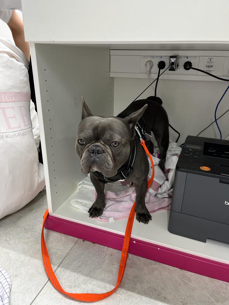 Tyson ist mittendrin statt nur dabei